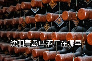 沈陽青島啤酒廠在哪里