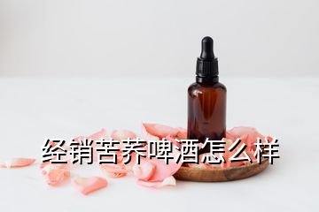 經(jīng)銷苦蕎啤酒怎么樣