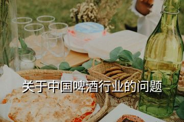 關于中國啤酒行業(yè)的問題