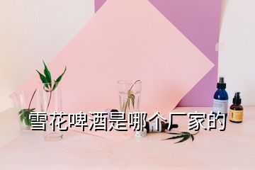 雪花啤酒是哪個廠家的