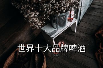 世界十大品牌啤酒