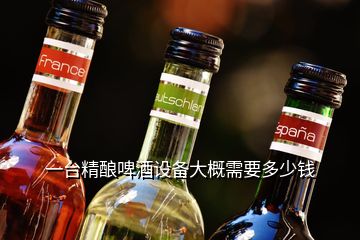 一臺精釀啤酒設(shè)備大概需要多少錢