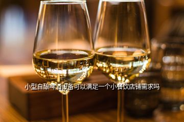 小型自釀啤酒設備可以滿足一個小餐飲店鋪需求嗎