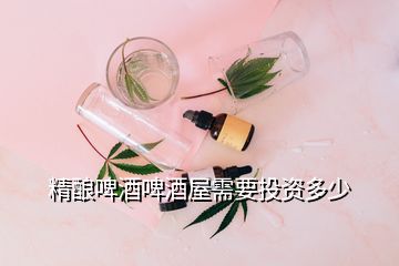 精釀啤酒啤酒屋需要投資多少