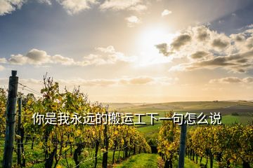 你是我永遠(yuǎn)的搬運(yùn)工下一句怎么說(shuō)