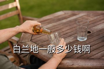 白蘭地一般多少錢啊