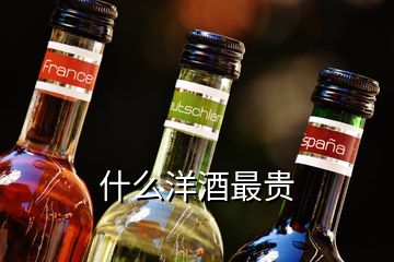 什么洋酒最貴