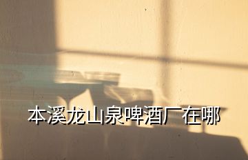 本溪龍山泉啤酒廠在哪