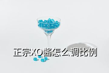 正宗XO醬怎么調比例