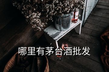 哪里有茅臺(tái)酒批發(fā)