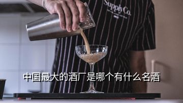 中國最大的酒廠是哪個(gè)有什么名酒