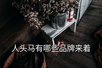 人頭馬有哪些品牌來著