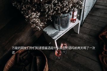 萬能的網(wǎng)友們你們知道銀醬酒是什么類型的酒嗎前兩天喝了一次還