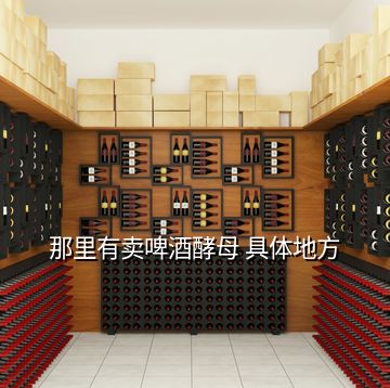 那里有賣啤酒酵母 具體地方