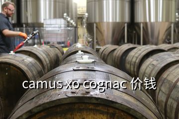 camus xo cognac 價錢