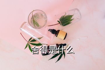 舍得是什么