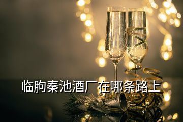 臨朐秦池酒廠在哪條路上