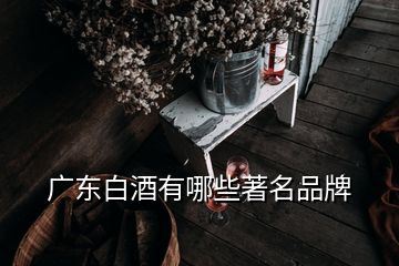 廣東白酒有哪些著名品牌