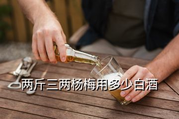 兩斤三兩楊梅用多少白酒