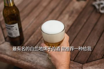 最有名的白蘭地牌子的酒 就推薦一種給我