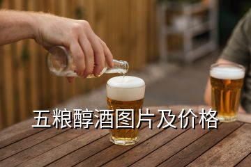 五糧醇酒圖片及價(jià)格