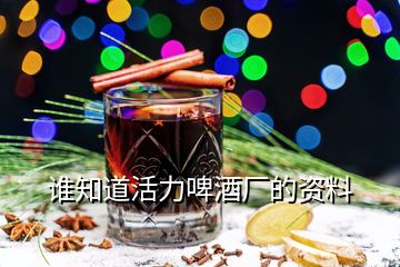 誰知道活力啤酒廠的資料