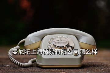 曼尼陀上海貿(mào)易有限公司怎么樣