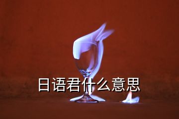 日語君什么意思