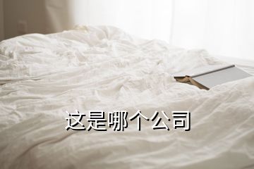 這是哪個(gè)公司