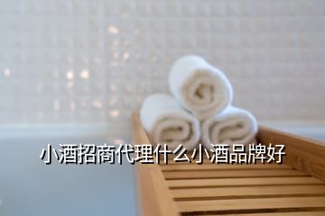 小酒招商代理什么小酒品牌好