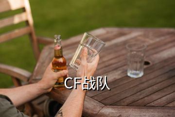 CF戰(zhàn)隊