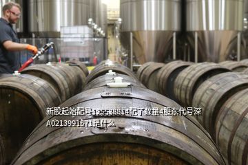 新股起始配號(hào)125538814配了數(shù)量4股東代號(hào)深A(yù)0213991571是什么