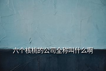 六個(gè)核桃的公司全稱叫什么啊