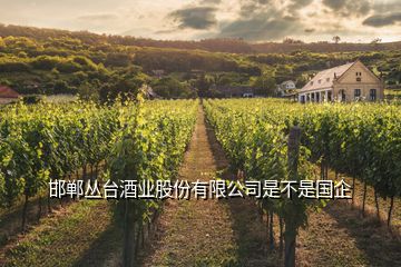 邯鄲叢臺(tái)酒業(yè)股份有限公司是不是國企