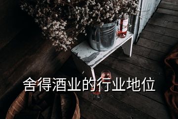 舍得酒業(yè)的行業(yè)地位