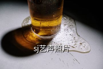 sj藝聲照片