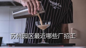 蘇州園區(qū)最近哪些廠招工