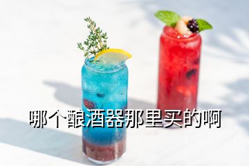 哪個釀酒器那里買的啊