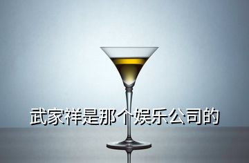 武家祥是那個(gè)娛樂公司的