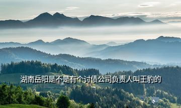 湖南岳陽是不是有個(gè)討債公司負(fù)責(zé)人叫王豹的