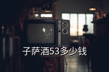 子薩酒53多少錢