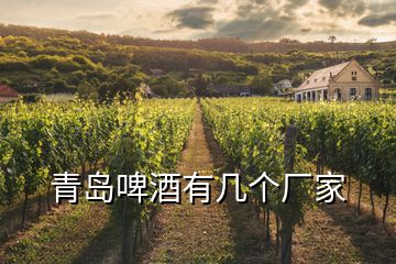 青島啤酒有幾個廠家