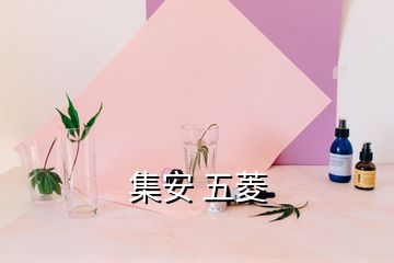 集安 五菱