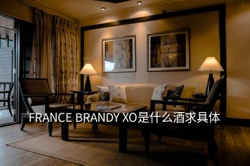 FRANCE BRANDY XO是什么酒求具體