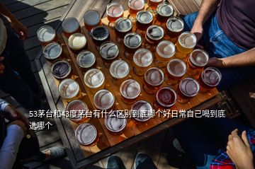 53茅臺(tái)和43度茅臺(tái)有什么區(qū)別到底哪個(gè)好日常自己喝到底選哪個(gè)