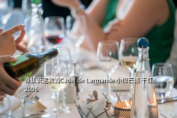 誰(shuí)認(rèn)識(shí)這款酒Cadet de Larmande 小拉芒德 干紅 2006