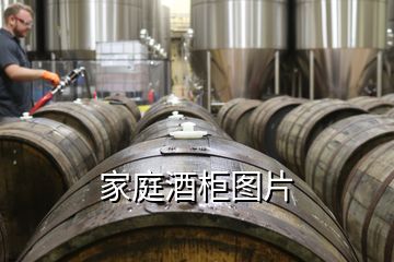 家庭酒柜圖片