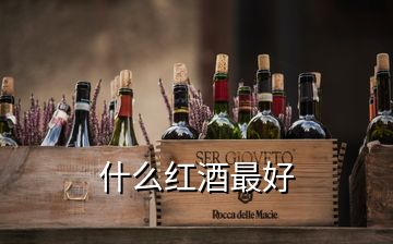 什么紅酒最好