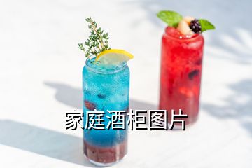 家庭酒柜圖片