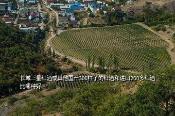 長城三星紅酒或其他國產300樣子的紅酒和進口200多紅酒比哪種好